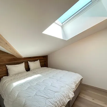 Apartment Superbe Duplex Avec Acces Spa, Terrasse Et Parking - Fr-1-623-288 *