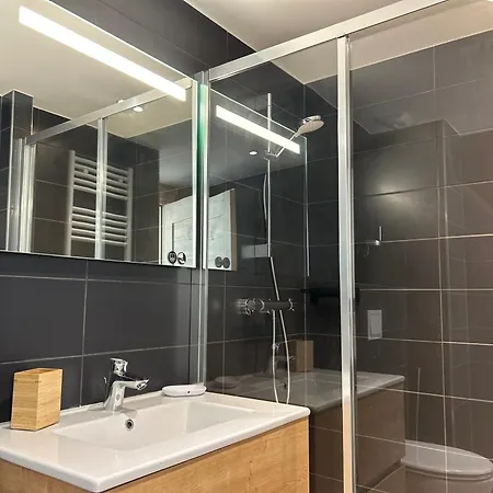 Superbe Duplex Avec Acces Spa, Terrasse Et Parking - Fr-1-623-288 Apartment